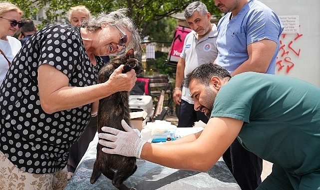 Sokak hayvanlarına yerinde sağlık desteği sürüyor